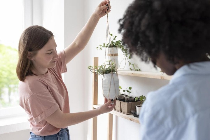 ideas plantas departamento 3